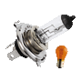 Gl�hlampen